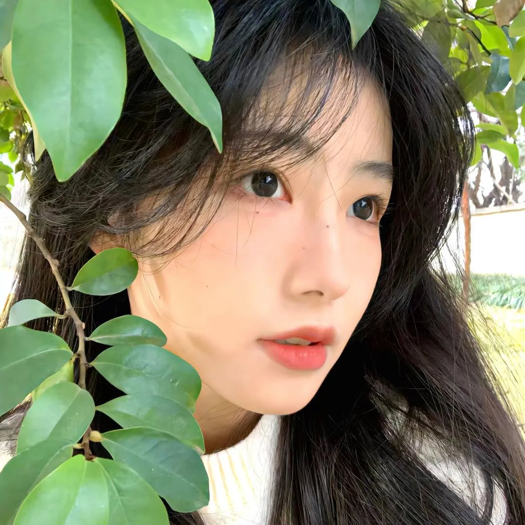 幸福是一尾皱颈蜥蜴